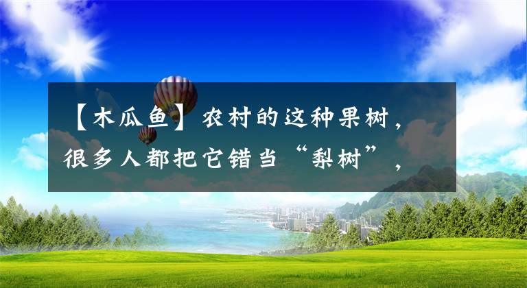 【木瓜鱼】农村的这种果树，很多人都把它错当“梨树”，你认识吗？