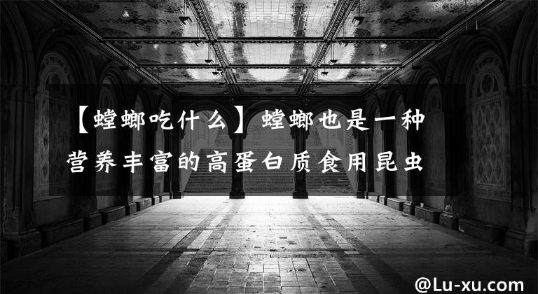 【螳螂吃什么】螳螂也是一种营养丰富的高蛋白质食用昆虫，朋友们吃过吗？