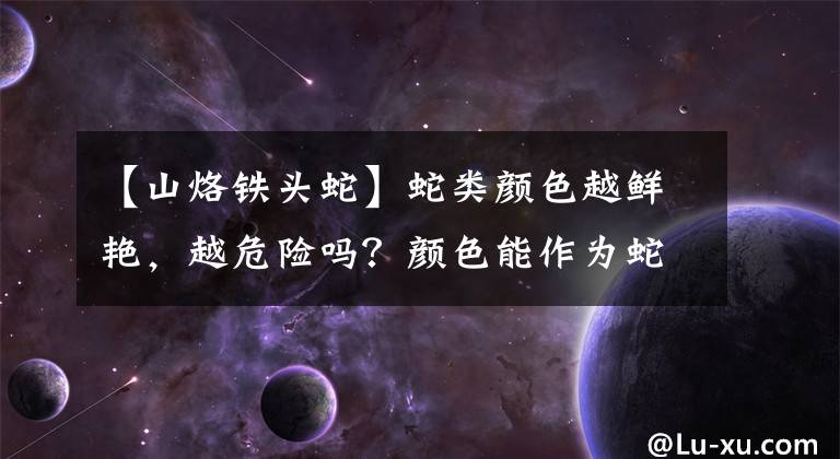 【山烙铁头蛇】蛇类颜色越鲜艳,越危险吗?颜色能作为蛇类危险评判的标准吗?