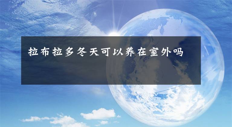 拉布拉多冬天可以养在室外吗