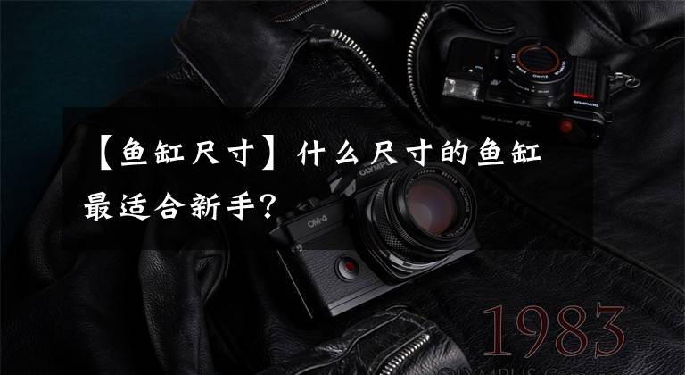 【鱼缸尺寸】什么尺寸的鱼缸最适合新手？