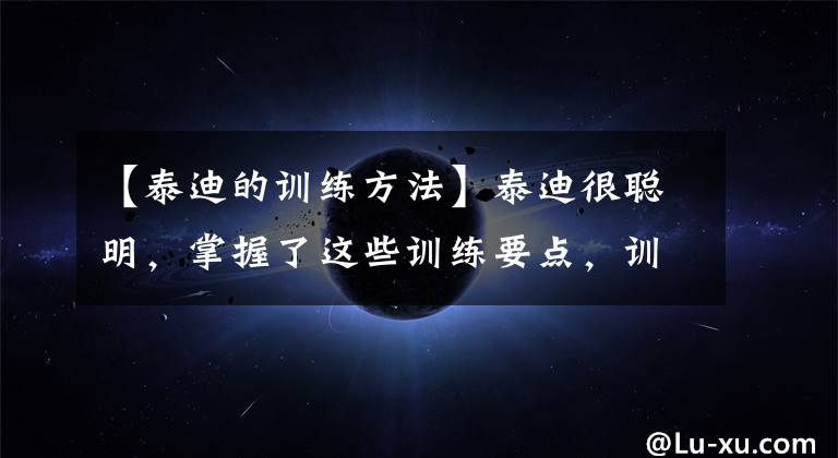 【泰迪的训练方法】泰迪很聪明,掌握了这些训练要点,训练出人见人爱的泰迪并不难!