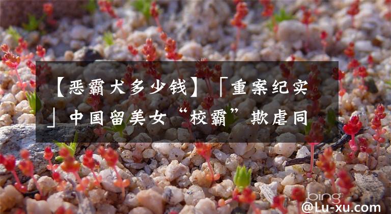 【恶霸犬多少钱】「重案纪实」中国留美女“校霸”欺虐同胞，被捕时还面带微笑