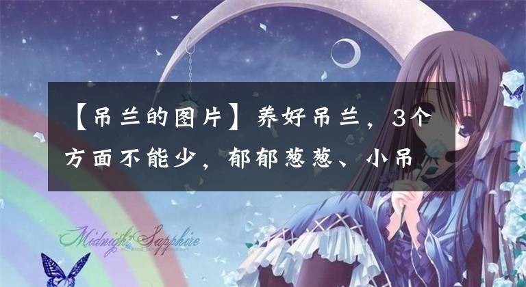 【吊兰的图片】养好吊兰，3个方面不能少，郁郁葱葱、小吊兰很多、能开花