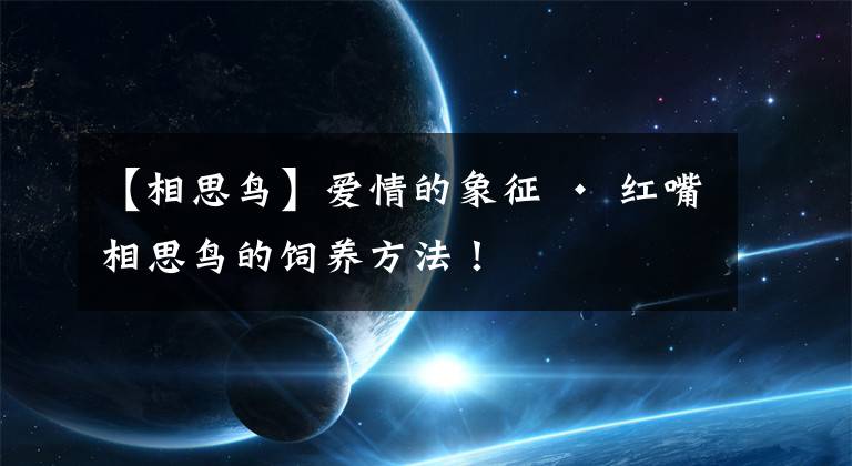 【相思鸟】爱情的象征 · 红嘴相思鸟的饲养方法！