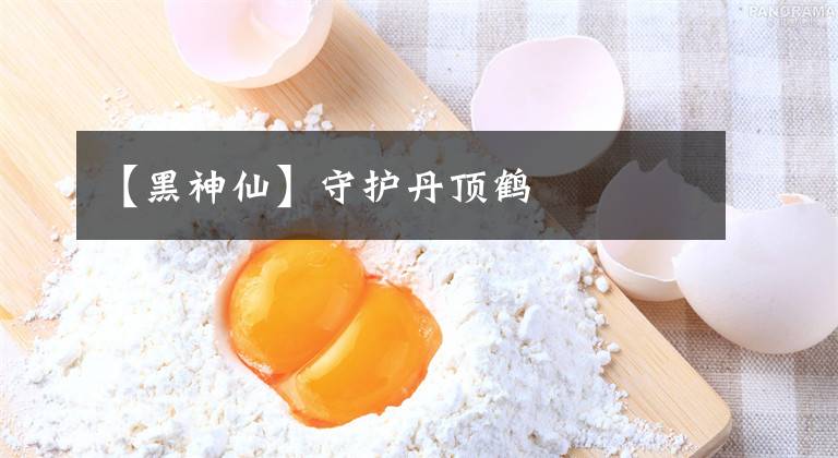 【黑神仙】守护丹顶鹤