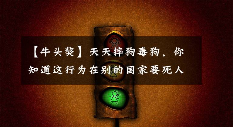 【牛头獒】天天摔狗毒狗，你知道这行为在别的国家要死人的么？！