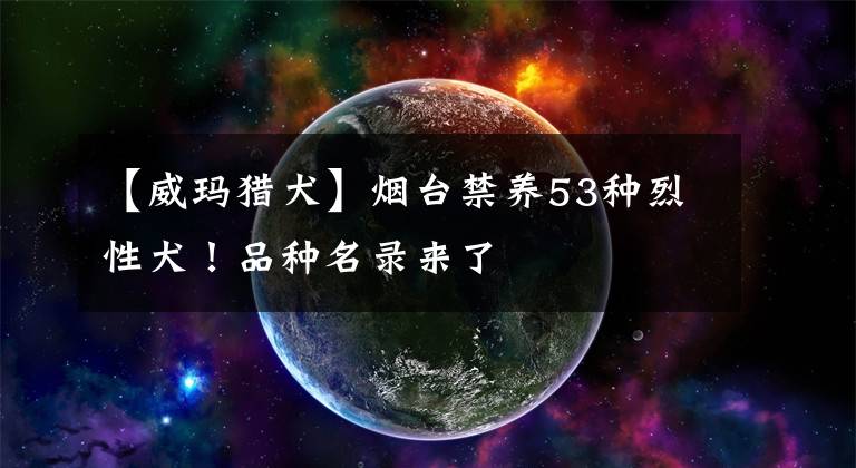 【威玛猎犬】烟台禁养53种烈性犬!品种名录来了