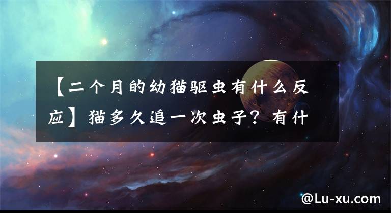 【二个月的幼猫驱虫有什么反应】猫多久追一次虫子?有什么驱虫剂推荐吗?