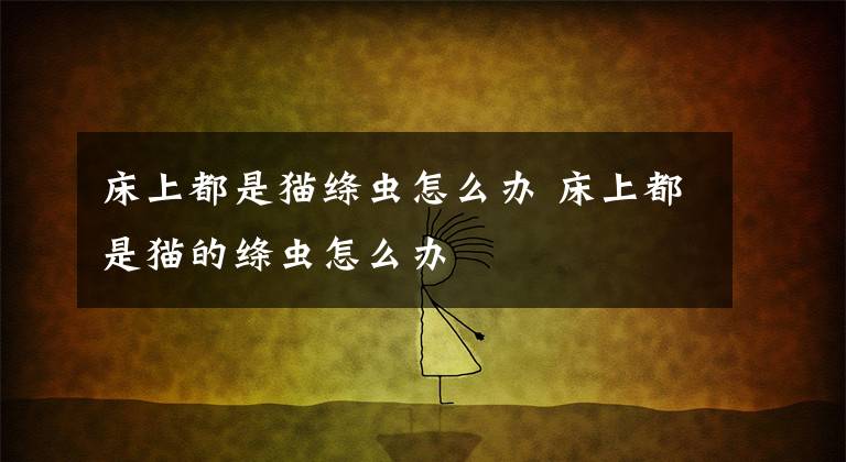 床上都是猫绦虫怎么办 床上都是猫的绦虫怎么办