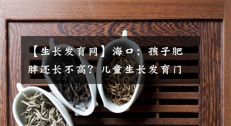 【生长发育网】海口：孩子肥胖还长不高？儿童生长发育门诊来瞧瞧