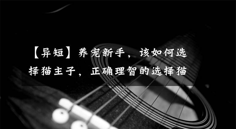 【异短】养宠新手，该如何选择猫主子，正确理智的选择猫咪