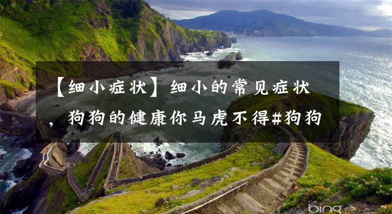 【细小症状】细小的常见症状，狗狗的健康你马虎不得#狗狗大明星#