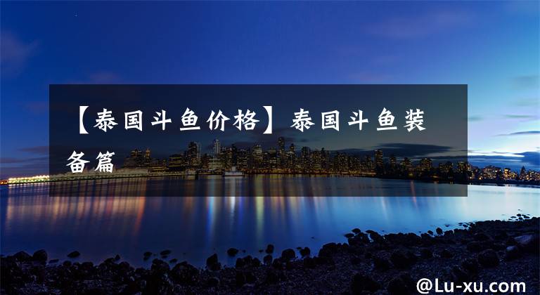 【泰国斗鱼价格】泰国斗鱼装备篇