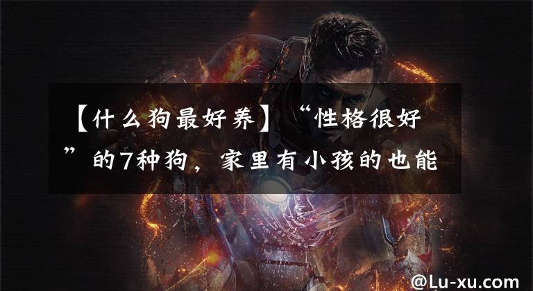 【什么狗最好养】“性格很好”的7种狗，家里有小孩的也能养，不妨考虑一下