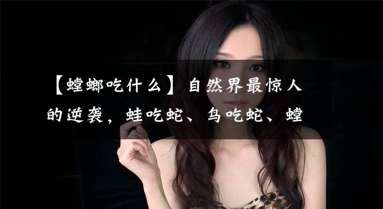 【螳螂吃什么】自然界最惊人的逆袭，蛙吃蛇、鸟吃蛇、螳螂捕鸟，你见过几种？