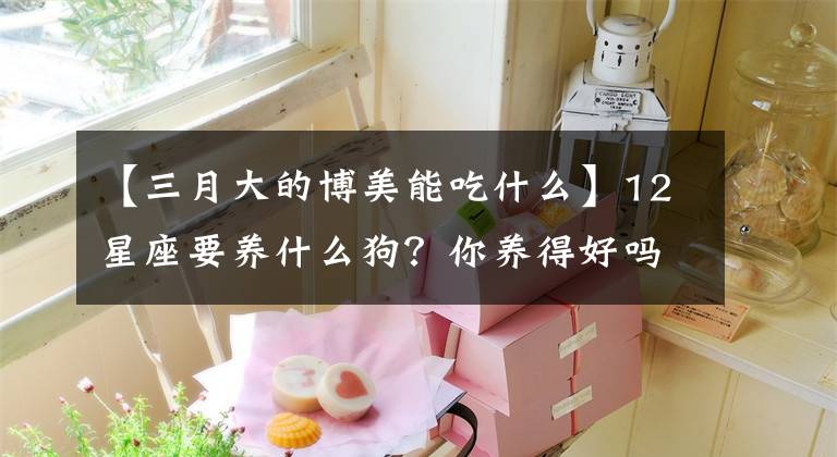 【三月大的博美能吃什么】12星座要养什么狗？你养得好吗？