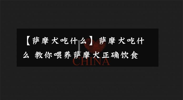 【萨摩犬吃什么】萨摩犬吃什么 教你喂养萨摩犬正确饮食