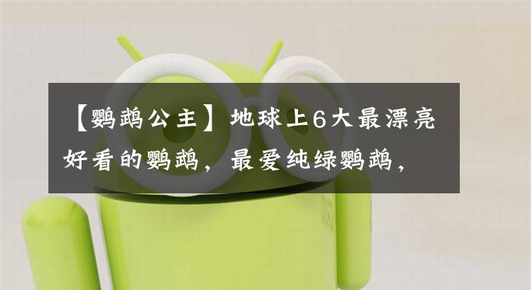 【鹦鹉公主】地球上6大最漂亮好看的鹦鹉,最爱纯绿鹦鹉,你喜欢哪种?