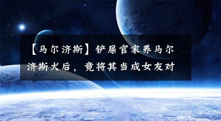 【马尔济斯】铲屎官家养马尔济斯犬后，竟将其当成女友对待，看着狗狗满眼温柔