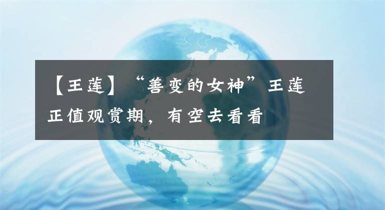 【王莲】“善变的女神”王莲正值观赏期，有空去看看