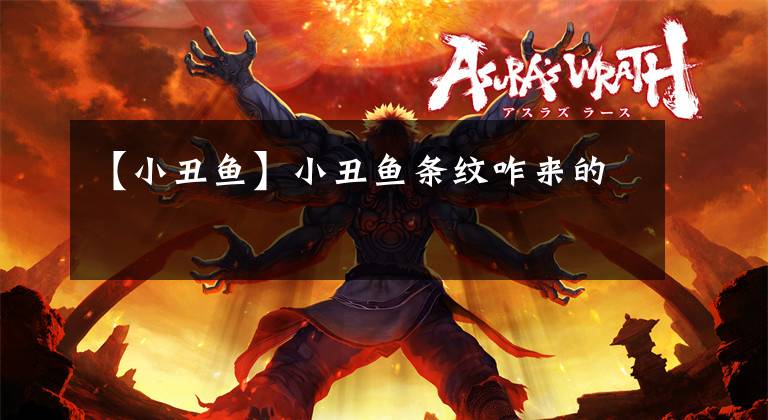 【小丑鱼】小丑鱼条纹咋来的