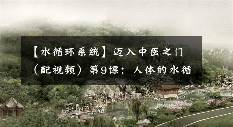 【水循环系统】迈入中医之门（配视频）第9课：人体的水循环系统代谢失常