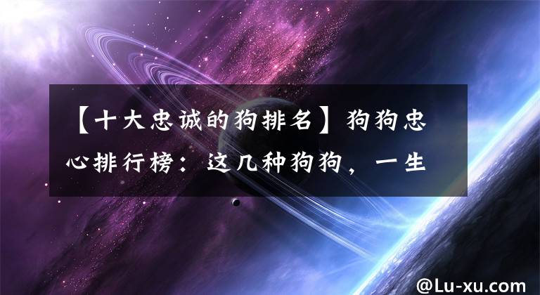 【十大忠诚的狗排名】狗狗忠心排行榜：这几种狗狗，一生只认一个主人