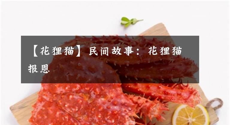 【花狸猫】民间故事:花狸猫报恩