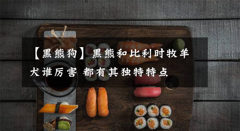 【黑熊狗】黑熊和比利时牧羊犬谁厉害 都有其独特特点