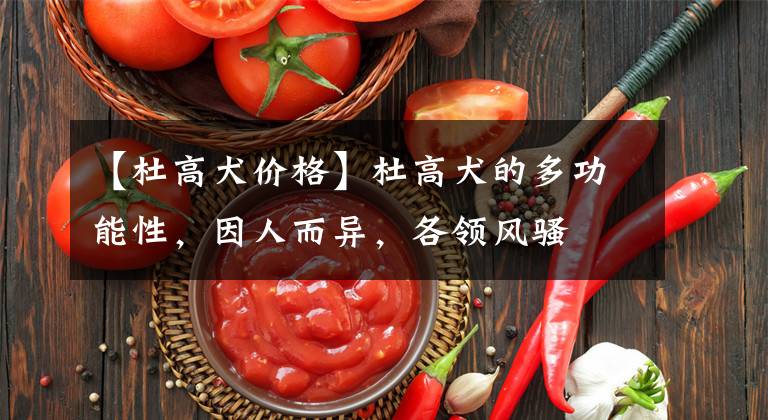 【杜高犬价格】杜高犬的多功能性，因人而异，各领风骚