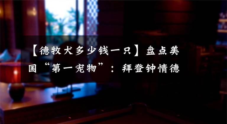 【德牧犬多少钱一只】盘点美国“第一宠物”:拜登钟情德牧、罗斯福曾派军舰救狗