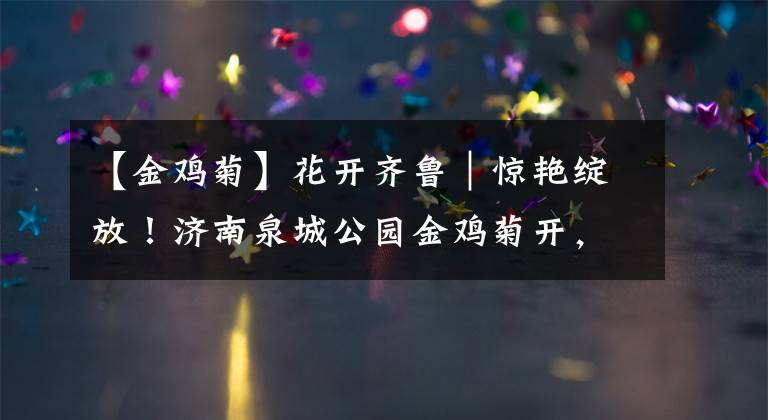 【金鸡菊】花开齐鲁|惊艳绽放!济南泉城公园金鸡菊开,承包你的醉美初夏