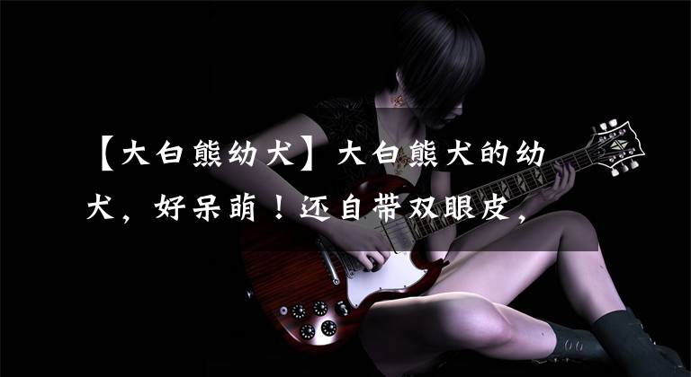 【大白熊幼犬】大白熊犬的幼犬，好呆萌！还自带双眼皮，简直全身都是萌点啊！