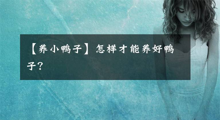 【养小鸭子】怎样才能养好鸭子?