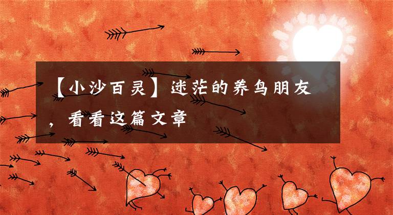 【小沙百灵】迷茫的养鸟朋友，看看这篇文章