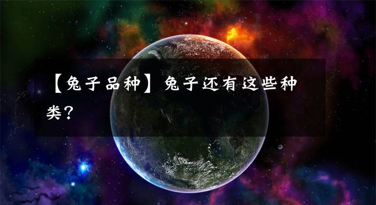 【兔子品种】兔子还有这些种类?