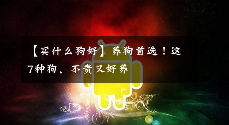 【买什么狗好】养狗首选!这7种狗,不贵又好养