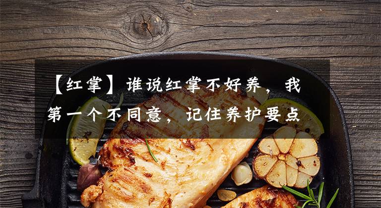 【红掌】谁说红掌不好养，我第一个不同意，记住养护要点，叶子油绿开满花