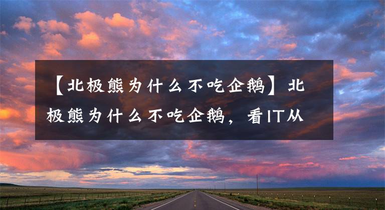 【北极熊为什么不吃企鹅】北极熊为什么不吃企鹅,看IT从业者的回答有点意思