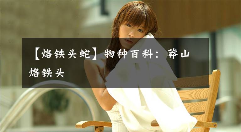 【烙铁头蛇】物种百科：莽山烙铁头