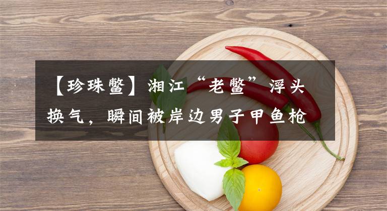 【珍珠鳖】湘江“老鳖”浮头换气,瞬间被岸边男子甲鱼枪打中,路人想500买