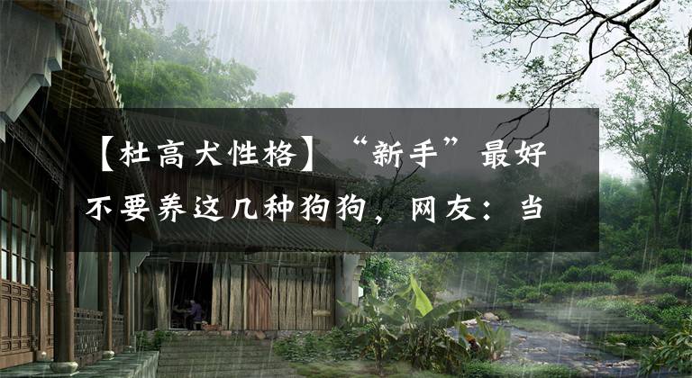 【杜高犬性格】“新手”最好不要养这几种狗狗，网友：当中的心酸，一言难尽