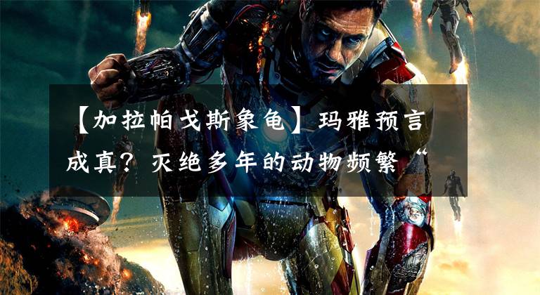 【加拉帕戈斯象龟】玛雅预言成真?灭绝多年的动物频繁“复活”,到底是什么原因