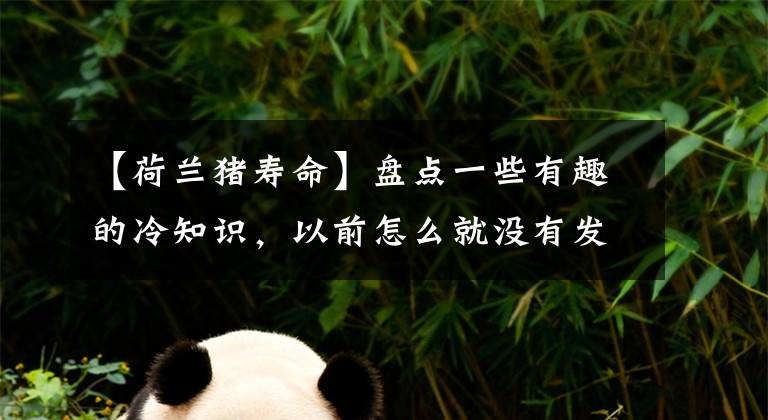 【荷兰猪寿命】盘点一些有趣的冷知识，以前怎么就没有发现这些小知识呢？