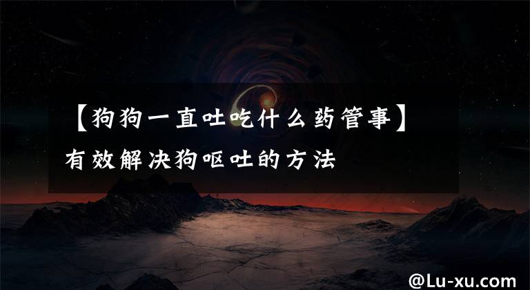 【狗狗一直吐吃什么药管事】有效解决狗呕吐的方法