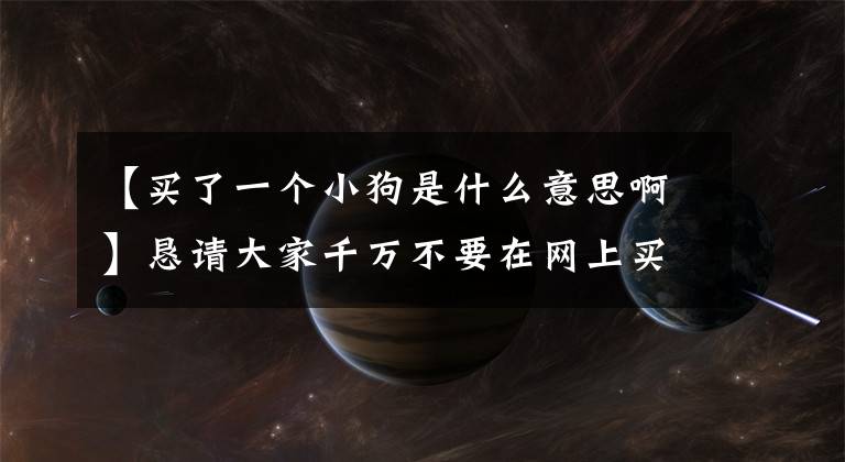 【买了一个小狗是什么意思啊】恳请大家千万不要在网上买宠物
