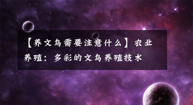 【养文鸟需要注意什么】农业养殖：多彩的文鸟养殖技术