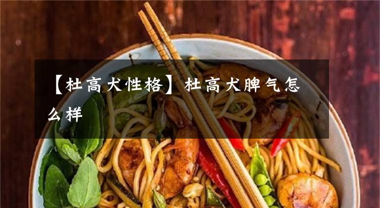 【杜高犬性格】杜高犬脾气怎么样