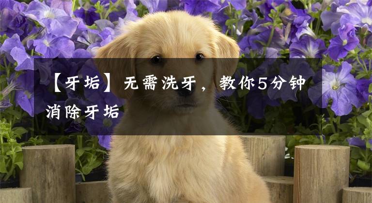 【牙垢】无需洗牙，教你5分钟消除牙垢